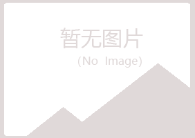 大新县曼柔工程有限公司